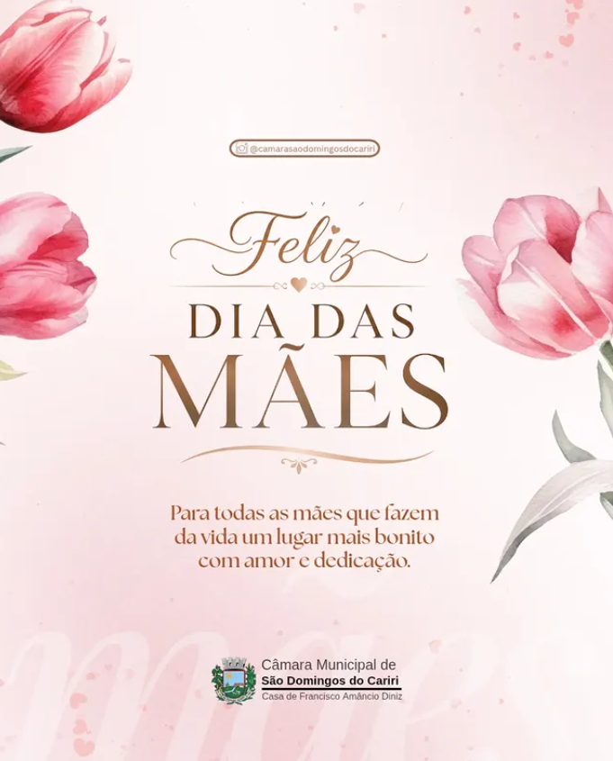 Neste Dia das Mães, a Câmara Municipal homenageia todas as mulheres que, com amor, força e dedicação, exercem o dom de cuidar, ensinar e transformar vidas todos os dias. 🌷